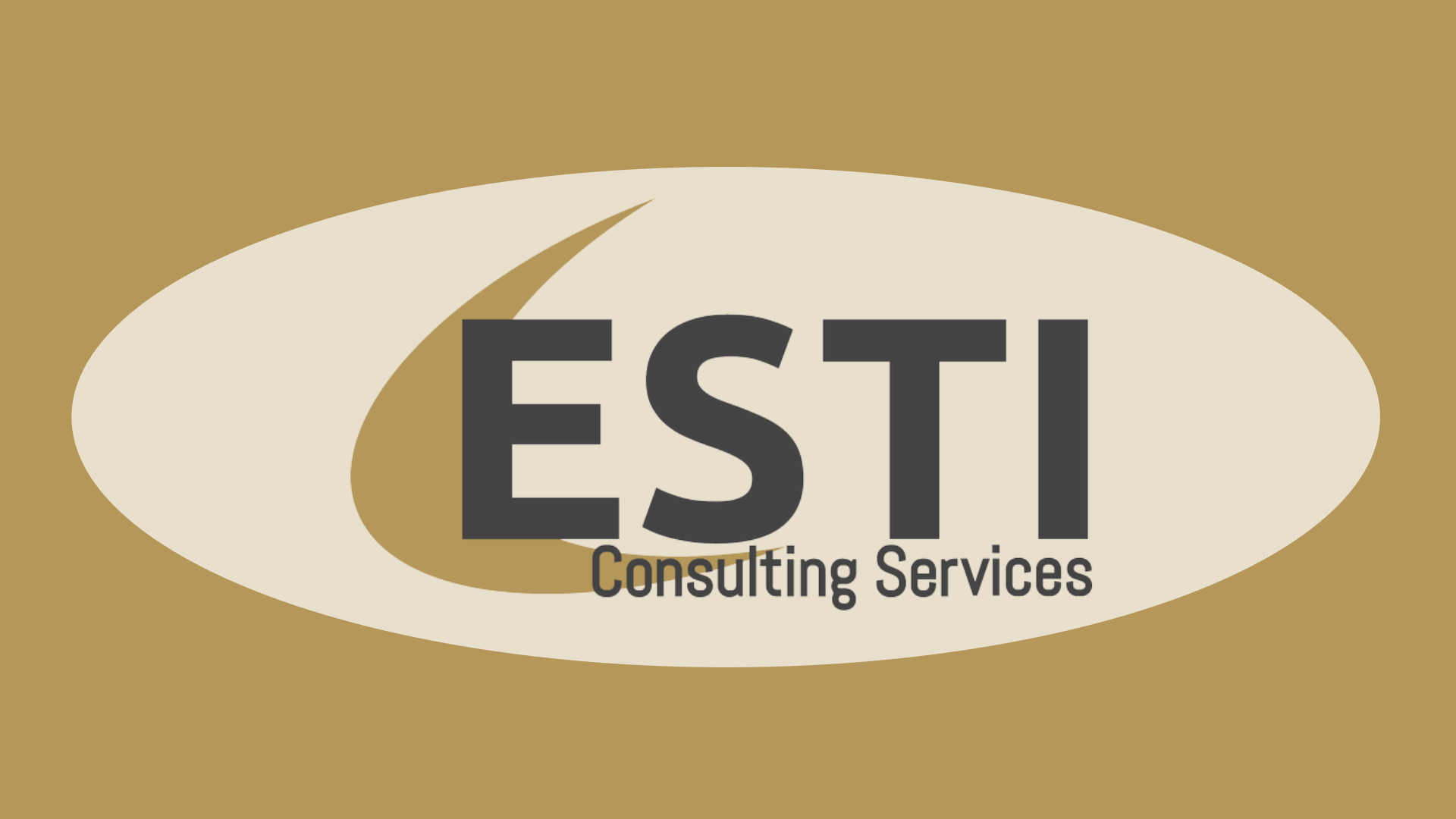 Computer Analyst